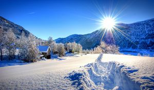 Preview wallpaper nature, forest, dawn, winter, mountains