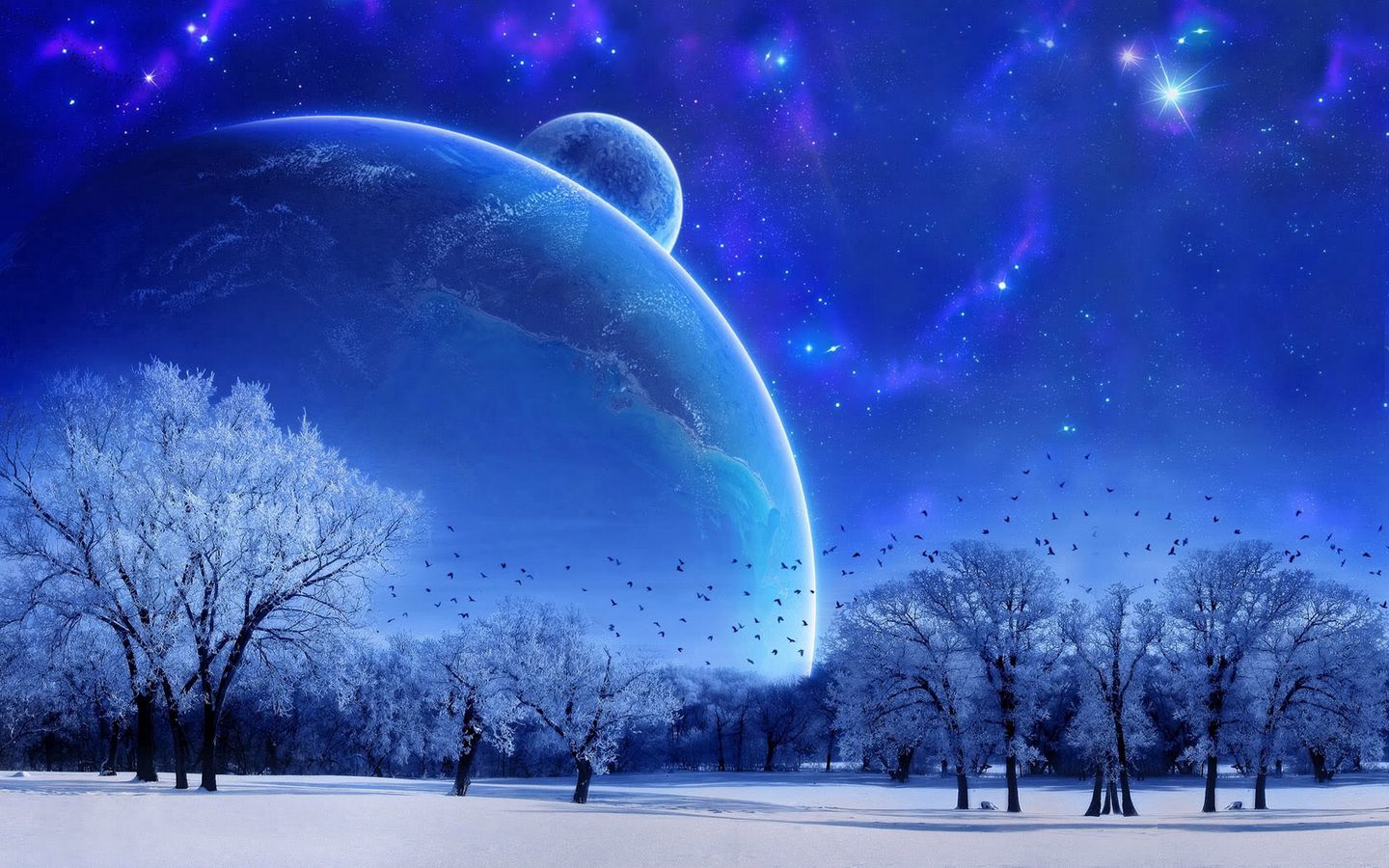 Download wallpaper 1440x900 nature, landscape, winter, sky, snow, full  moon, trees, birds, evening widescreen 16:10 hd background