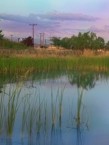 Preview wallpaper nature, pond, bridge, road