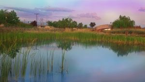 Preview wallpaper nature, pond, bridge, road