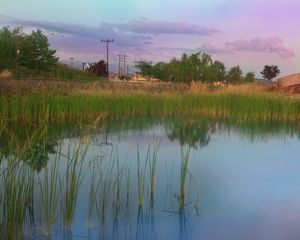 Preview wallpaper nature, pond, bridge, road