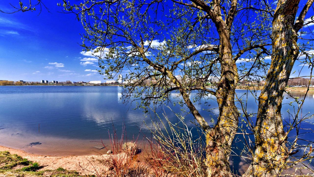 Wallpaper nature, trees, river