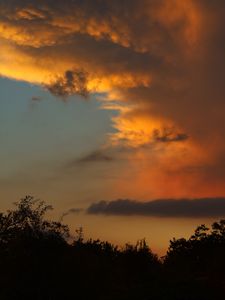 Preview wallpaper nature, trees, sky, clouds, sunset