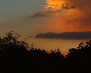 Preview wallpaper nature, trees, sky, clouds, sunset