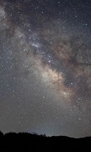 Preview wallpaper nebula, night, starry sky, stars, trees