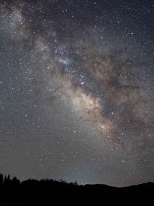 Preview wallpaper nebula, night, starry sky, stars, trees