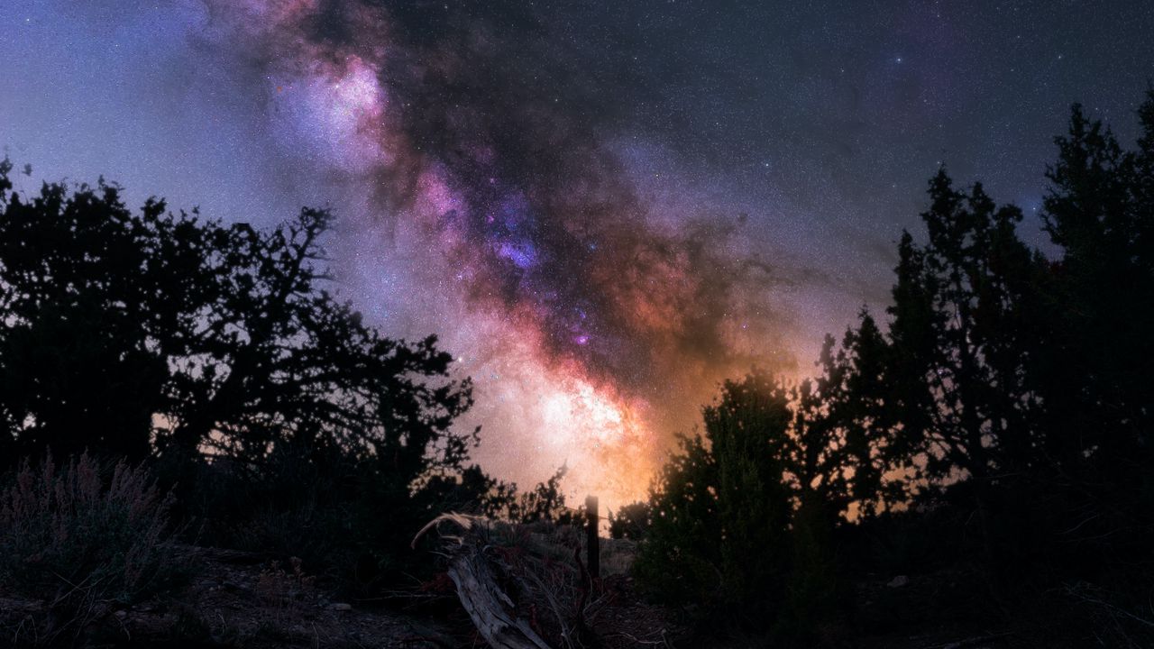 Wallpaper nebula, space, trees, night