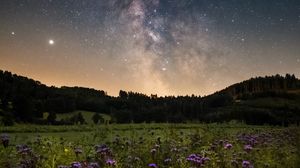Preview wallpaper nebula, starry sky, field, flowers, night