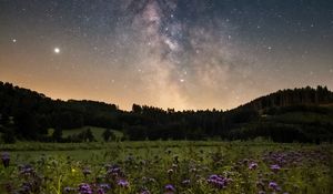 Preview wallpaper nebula, starry sky, field, flowers, night