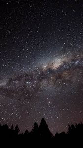 Preview wallpaper nebula, starry sky, spruce, silhouette, night