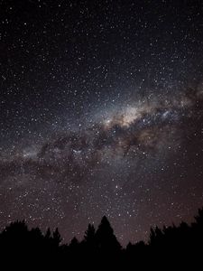 Preview wallpaper nebula, starry sky, spruce, silhouette, night