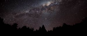 Preview wallpaper nebula, starry sky, spruce, silhouette, night