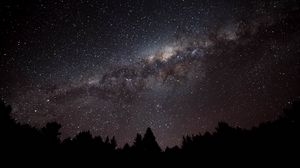 Preview wallpaper nebula, starry sky, spruce, silhouette, night