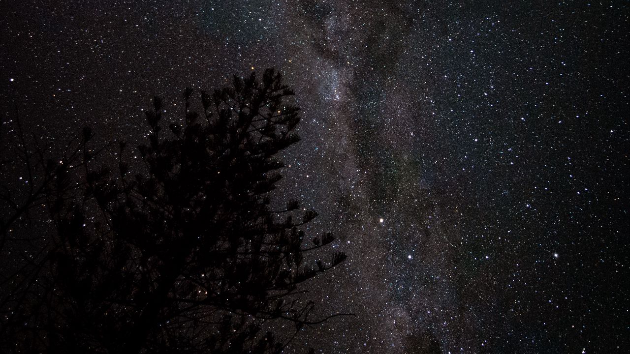 Wallpaper nebula, starry sky, spruce, night