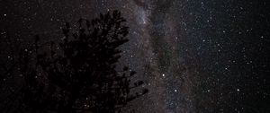 Preview wallpaper nebula, starry sky, spruce, night