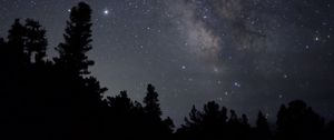 Preview wallpaper nebula, starry sky, stars, trees, silhouette