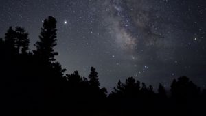 Preview wallpaper nebula, starry sky, stars, trees, silhouette