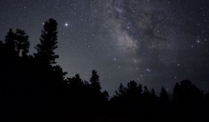 Preview wallpaper nebula, starry sky, stars, trees, silhouette