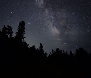 Preview wallpaper nebula, starry sky, stars, trees, silhouette