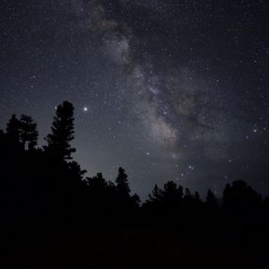 Preview wallpaper nebula, starry sky, stars, trees, silhouette