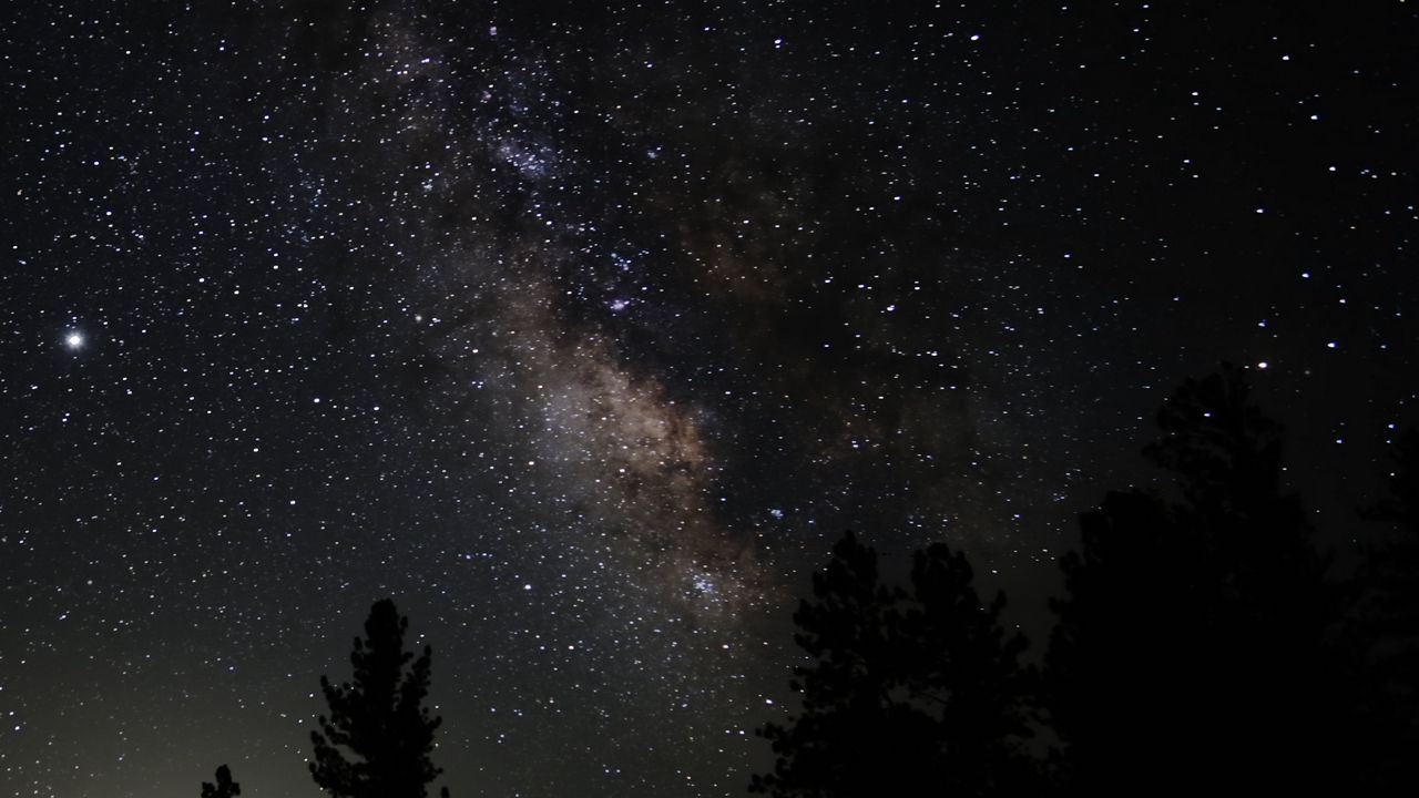 Wallpaper nebula, starry sky, trees, stars
