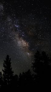 Preview wallpaper nebula, starry sky, trees, stars