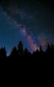 Preview wallpaper nebula, stars, night, spruce, trees