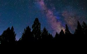 Preview wallpaper nebula, stars, night, spruce, trees