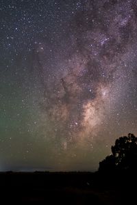 Preview wallpaper nebula, stars, night, tree, silhouette