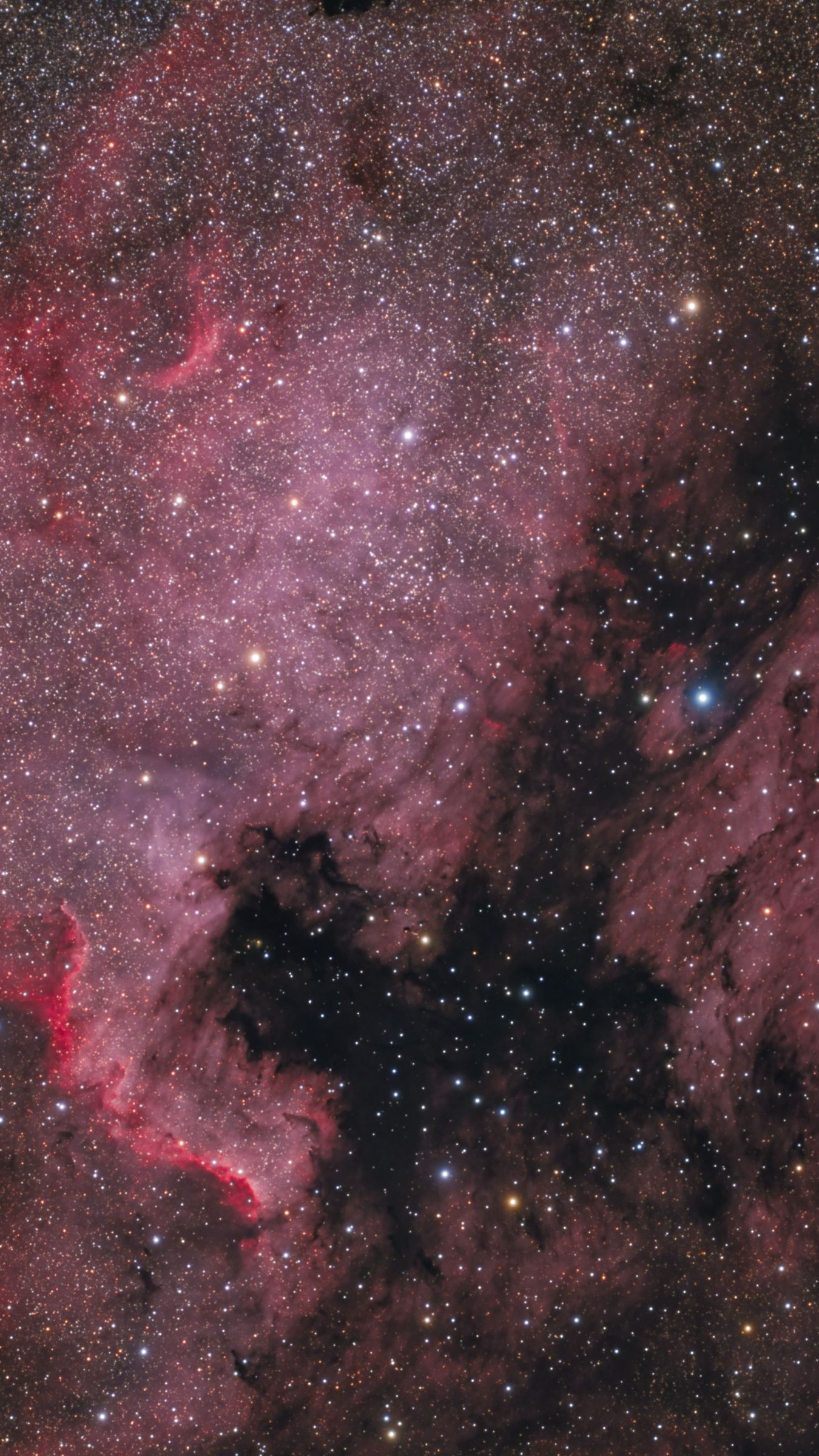 1350x2400 Wallpaper nebula, stars, space, pink, background