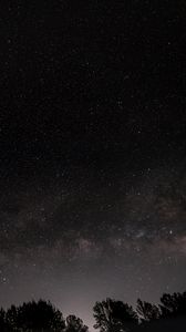 Preview wallpaper nebula, stars, starry sky, trees, night