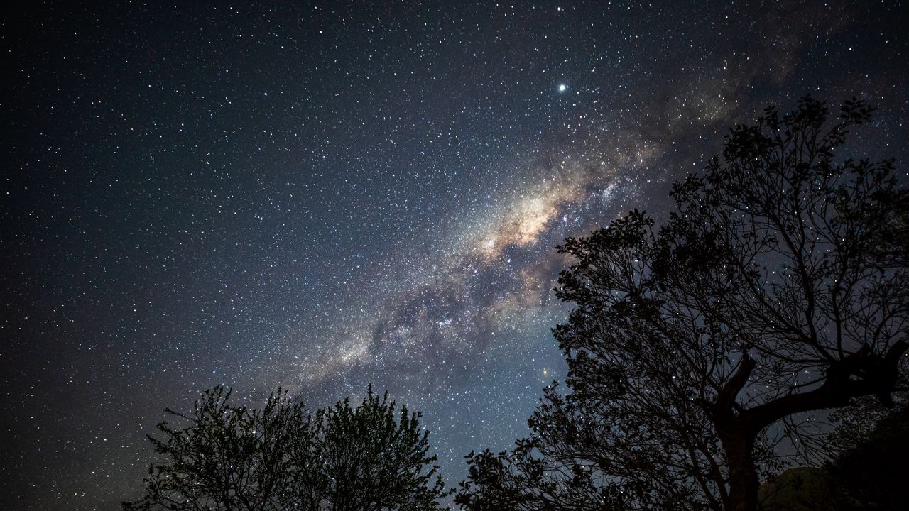 Wallpaper nebula, stars, trees, branches, silhouette