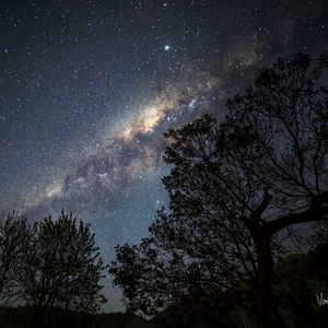 Preview wallpaper nebula, stars, trees, branches, silhouette