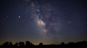 Preview wallpaper nebula, stars, trees, night