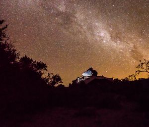 Preview wallpaper nebula, stones, bushes, stars, starry sky