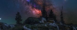 Preview wallpaper nebula, trees, chamomile, rocks, night