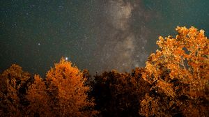 Preview wallpaper nebula, trees, night, stars, starry sky