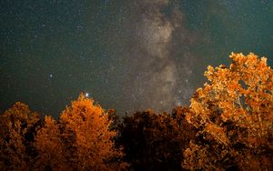 Preview wallpaper nebula, trees, night, stars, starry sky