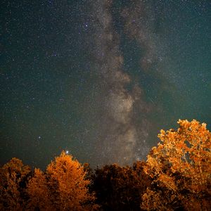 Preview wallpaper nebula, trees, night, stars, starry sky