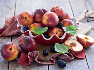 Preview wallpaper nectarines, blackberries, dishes, fruit