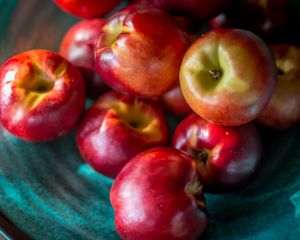 Preview wallpaper nectarines, fruit, plate