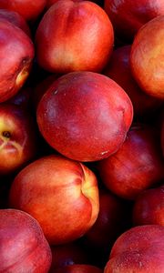 Preview wallpaper nectarines, fruit, ripe