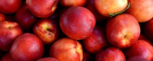 Preview wallpaper nectarines, fruit, ripe