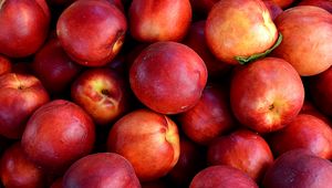 Preview wallpaper nectarines, fruit, ripe