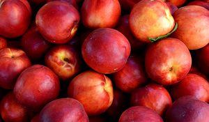 Preview wallpaper nectarines, fruit, ripe