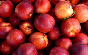 Preview wallpaper nectarines, fruit, ripe