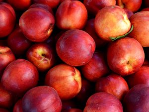 Preview wallpaper nectarines, fruit, ripe