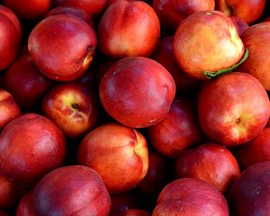 Preview wallpaper nectarines, fruit, ripe