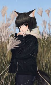 Preview wallpaper neko, ears, jacket, field, anime