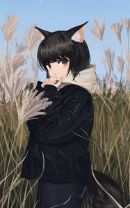 Preview wallpaper neko, ears, jacket, field, anime